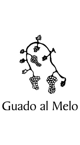 2021 Jassarte Toscana IGP trocken - Guado al Melo