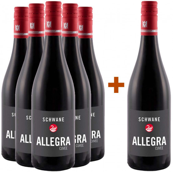 5+1 Allegra Cuvée trocken Paket - Weingut Zur Schwane