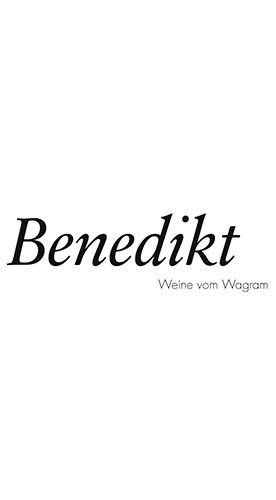 2023 Riesling trocken - Weingut Benedikt Wolfgang