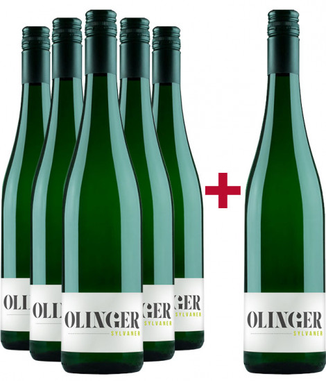5+1 Olinger Sylvaner Paket - Gebrüder Müller-Familie Olinger