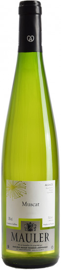 2022 Muscat Alsace AOP trocken - Domaine Jean-Paul Mauler