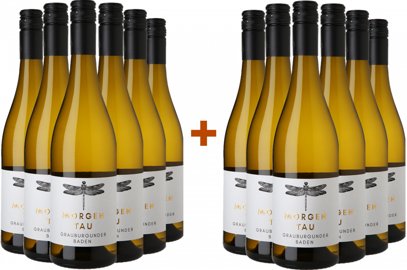 6+6 Paket 2023 Morgentau Grauburgunder