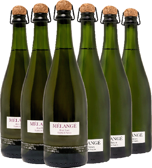 Kennenlernpaket Melangé Recuero & Co - Recuero & Co