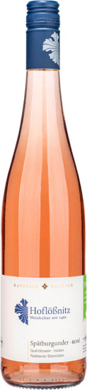 2023 Spätburgunder Rosé trocken Bio - Weingut Hoflößnitz