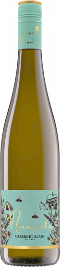2025 Cabernet Blanc trocken - Weingut Georg Naegele - Schlossbergkellerei