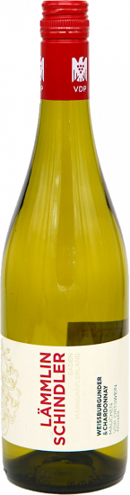 2024 Mauchen Weißburgunder + Chardonnay Ortswein trocken Bio - Weingut Lämmlin-Schindler