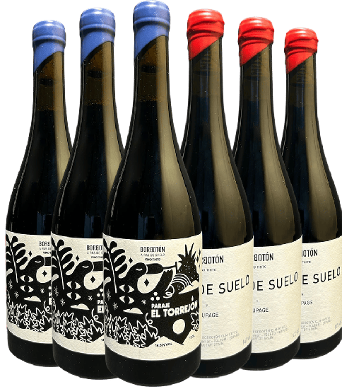 Kennenlernpaket Bodega Borbotón - Borbotón