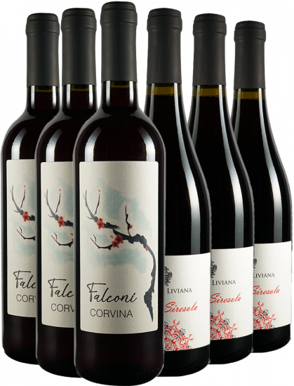 Rotwein Kennenlern-Paket - Azienda Agricola Falconi Liviana