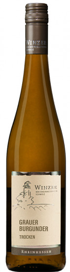 2025 Wöllsteiner Rheingrafenstein Grauer Burgunder trocken - Winzer der Rheinhessischen Schweiz