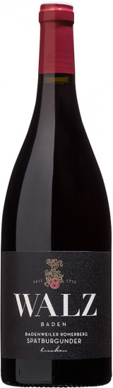 2019 Römerberg Spätburgunder trocken Bio - Weingut Josef Walz