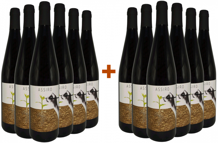 6+6 Paket Assiro Toscana IGP Bio - Clio Cicogni