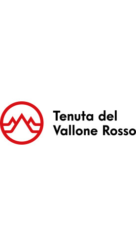 2024 TDVR CS Carricante trocken 1,5 L - Tenuta del Vallone Rosso