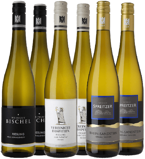 Riesling VDP-Paket - WirWinzer Spezial