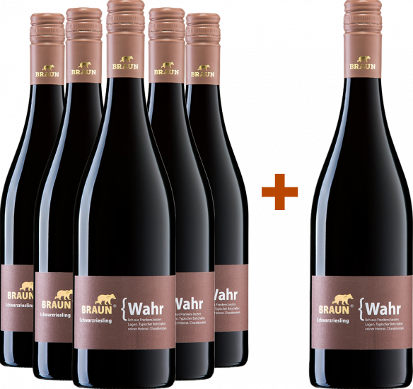 5+1 Paket Schwarzriesling trocken - Familienweingut Braun
