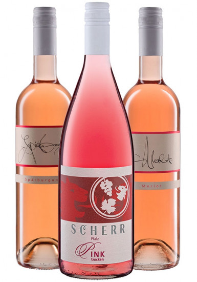 Frühlingserwachen - Weingut Scherr