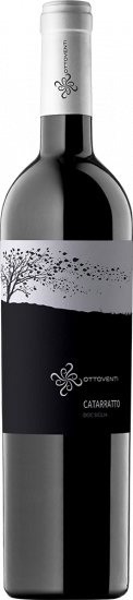 2023 Catarratto Sicilia DOC trocken Bio - Ottoventi