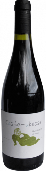 2016 Cuvée Plan Bastit Saint Guilhem le Désert IGP trocken - Coste Ubesse