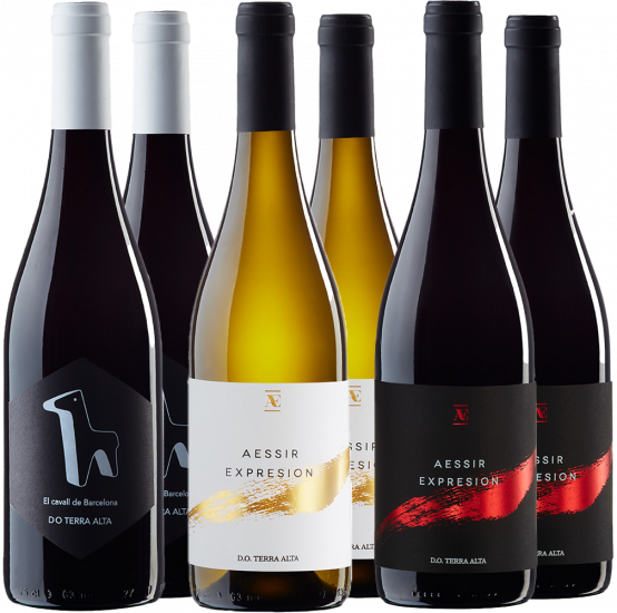 Aessir Terra Alta Kennenlern Terra Alta DO - Bodegas Aessir Terra Alta