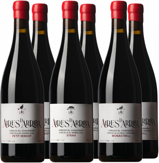 Kennenlernpaket Aires de Arriba Jumilla DO - Aires de Arriba