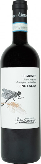 2023 Pinot Nero Piemonte DOC trocken Bio - Cantamessa