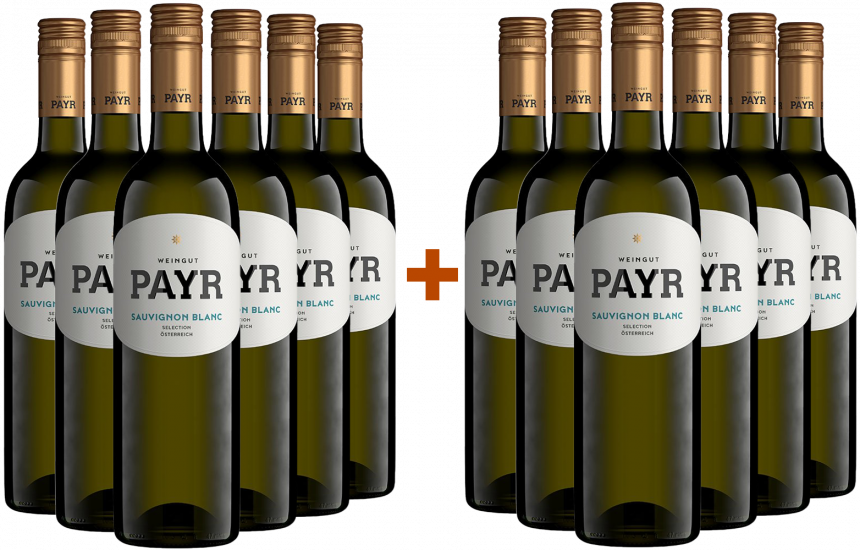 6+6 Sauvignon Blanc Selection ÖTW Gutswein Bio Bio - Bio Weingut Robert Payr