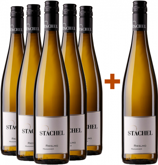 5+1 Paket Riesling Maikammer trocken - Weingut Erich Stachel