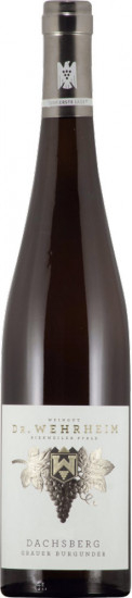 2024 Grauburgunder Am hsberg VDP.Erste Lage trocken Bio - Weingut Dr. Wehrheim