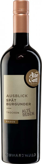 2022 Ausblick Spätburgunder 