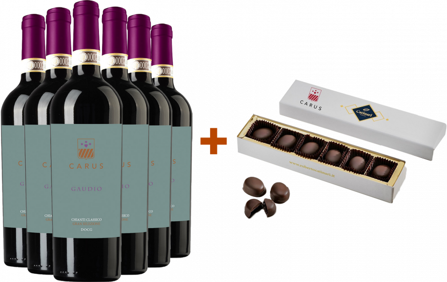 Gàudio Chianti Gran Selezione DOCG Paket + Geschenk - Carus