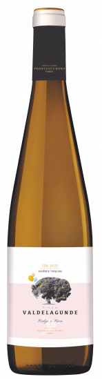 2022 Valdelagunde Semidulce Castilla y León VT lieblich - Bodegas Pedro Escudero