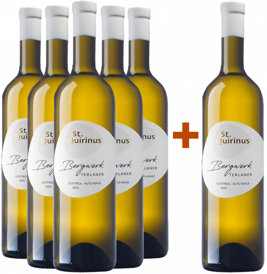 5+1 Paket Bergwerk Terlaner Classico Alto Adige DOC Bio - St. Quirinus