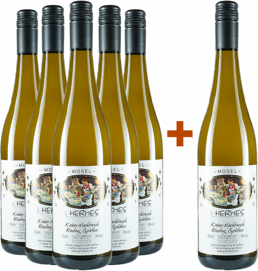 5+1 Paket Riesling Spätlese feinherb - WeinGut Hermes