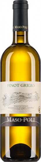2022 Pinot Grigo Trentino DOC trocken - Maso Poli