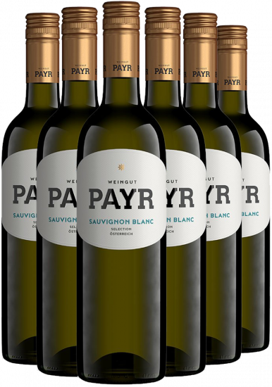 6er-Paket Sauvignon Blanc Selection ÖTW Gutswein Bio - Bio Weingut Robert Payr