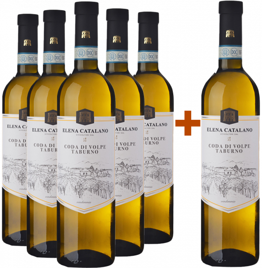 5+1 Paket Coda di Volpe Sannio Taburno DOC - Tenuta Elena Catalano
