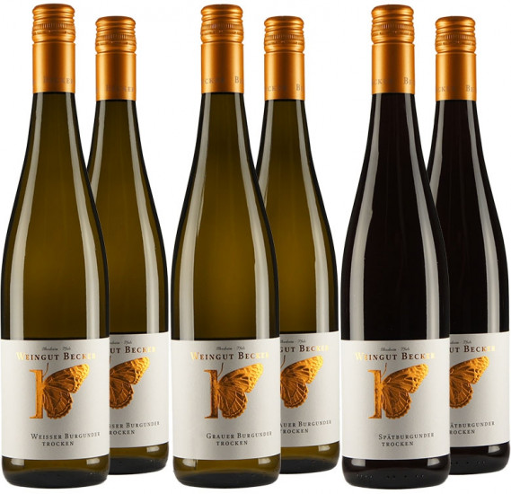 Gemischtes Burgunder-Paket - Weingut Becker - Heißbühlerhof