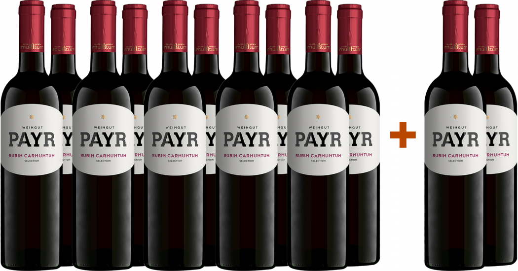 10+2 2023 Zweigelt Rubin Carnuntum DAC ÖTW Gebietswein BIO Bio - Bio Weingut Robert Payr