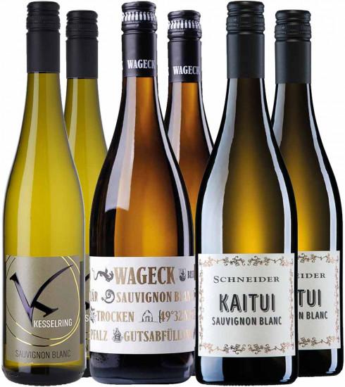 Sauvignon Blanc Paket Pfalz