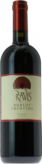 2021 Merlot Trentino DOC - Travino Special Valsugana