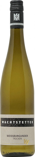 2023 Weissburgunder trocken - Weingut Wachtstetter