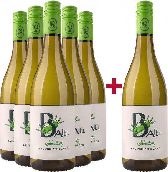 5+1 Paket Sauvignon Blanc  - Weingut Baier