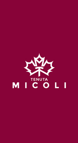 2020 Orso Nero Vino Rosso trocken - Tenuta Micoli