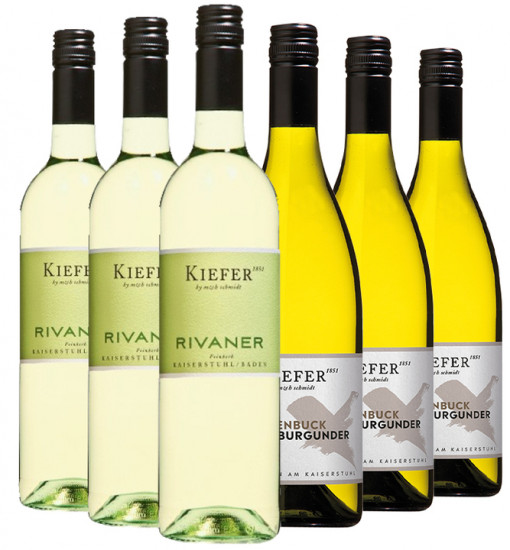 2018 Weingut Kiefer Probierpaket