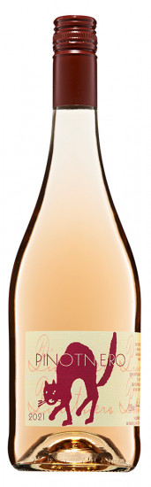 2024 Spätburgunder Pinot Nero Weißherbst trocken - Weingut Schäfer und Sohn