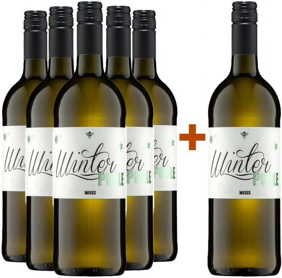 5+1 Paket Winterpulle weiß alkoholfrei lieblich 1,0 L - Andres am Lilienthal