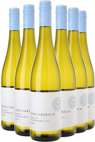 Rebenmeer Grauburgunder Paket 