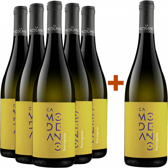 5+1 Sauvignon Friuli DOC - Modeano