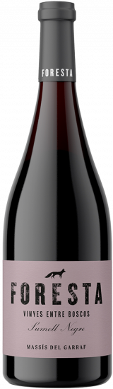 2022 Foresta Sumoll Penedès DO trocken Bio - Vins de Foresta