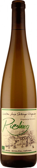 2023 Klingenberger Schlossberg Riesling trocken Bio - Weinbau Stritzinger