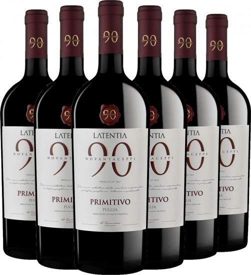 6er Paket Novantaceppi Primitivo Puglia IGP - WirWinzer Select Teck